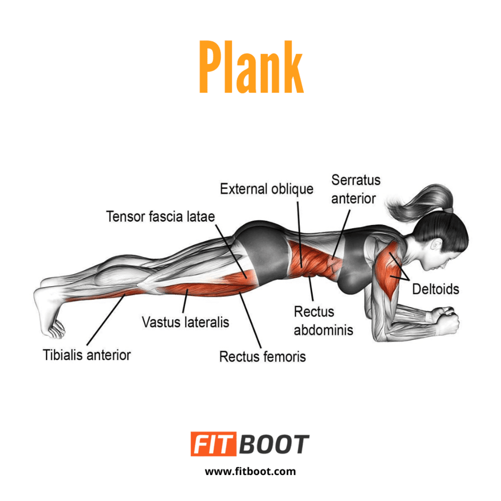 Plank How To Do, Proper Form, Benefits, Variations & Is It Worth It?