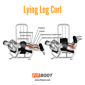 Lying Leg Curl: How To, Benefits, Muscles Worked & Variations