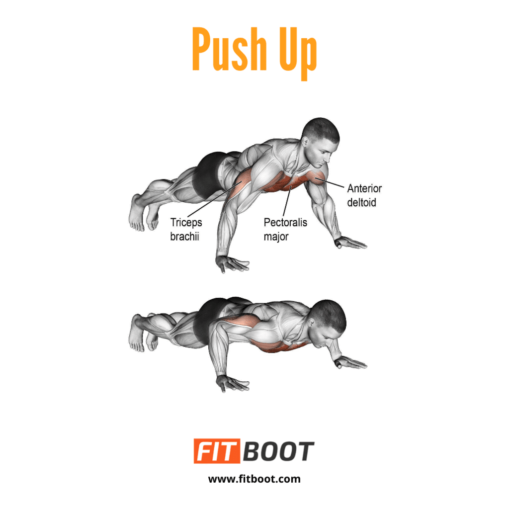 Push Ups How To Do Benefits Muscles Worked And Variations 1440